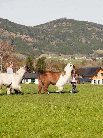 Binderhof-Wanderung1-Murtal-Steiermark | © Binderhof