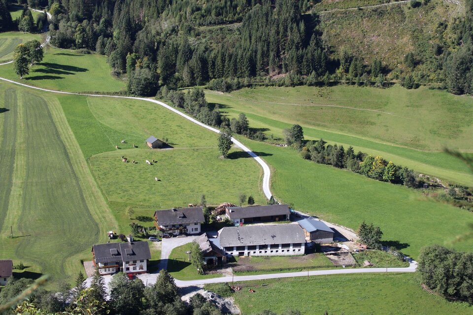 Bio Bauernhof Braun - Impression #1 | © Bio Bauernhof Braun