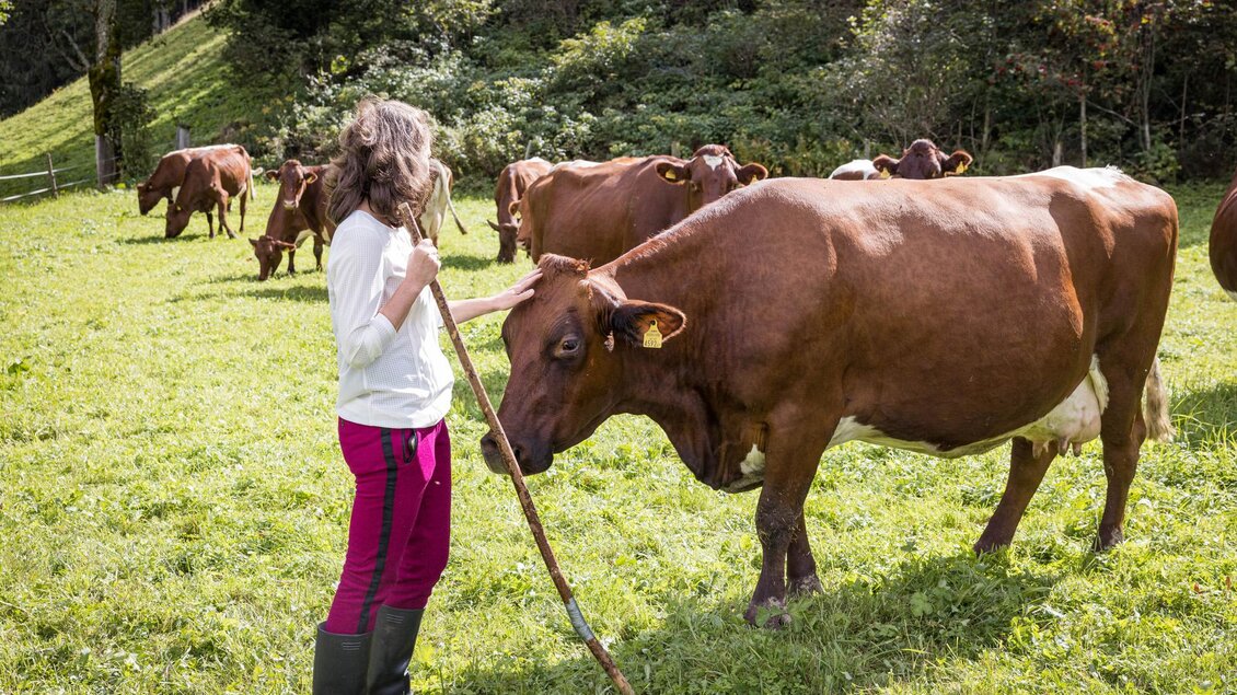 Ein Mädchen steht in einem grünen Feld und spricht mit einer Kuh. Im Hintergrund sind weitere Kühe zu sehen. | © Netzwerk Kulinarik wildbild