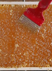 Honigwabe | © Bio Imkerei s'Honigglasl | Maria Maier | © Bio Imkerei s'Honigglasl