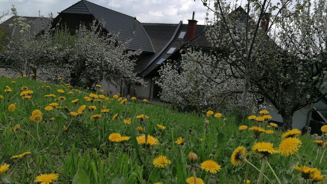 Schirkhof-Ansicht3-Murtal-Steiermark | © Bio- Bauernhof Schirkhof