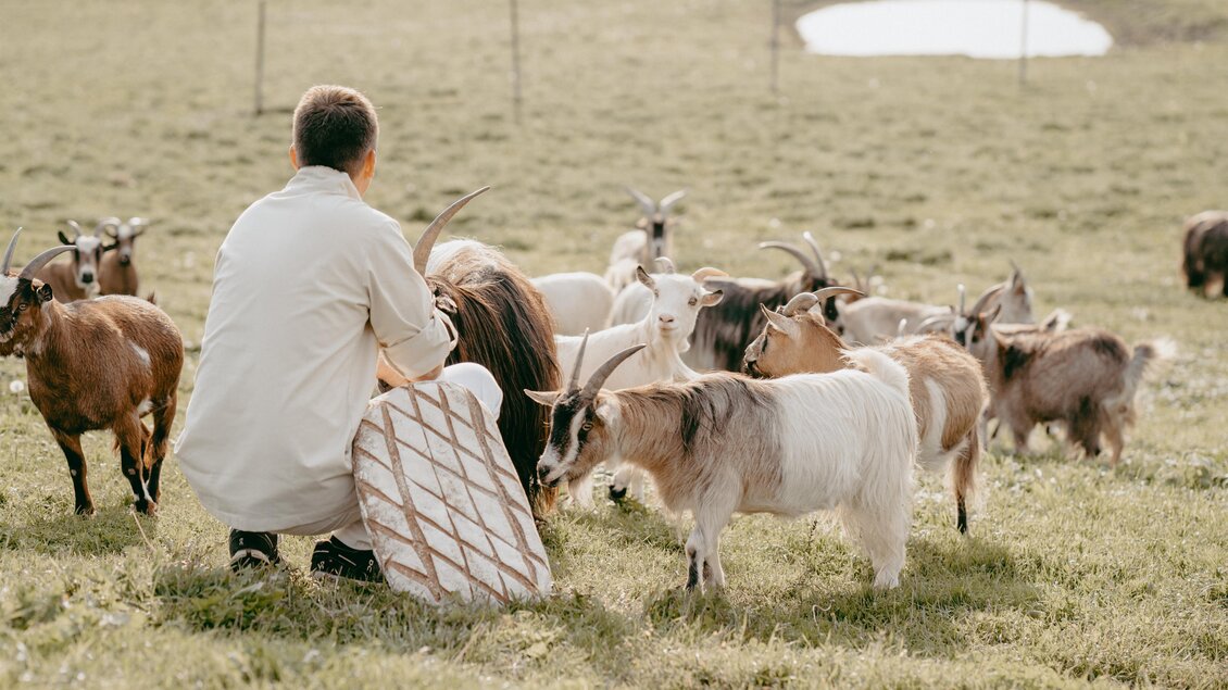 Hof | © Familie Kirchengast