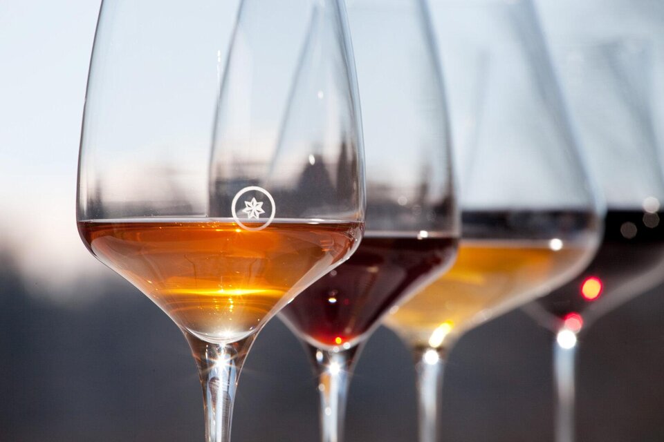 Organic wine from Ploder-Rosenberg - Impression #1 | © Weingut Ploder