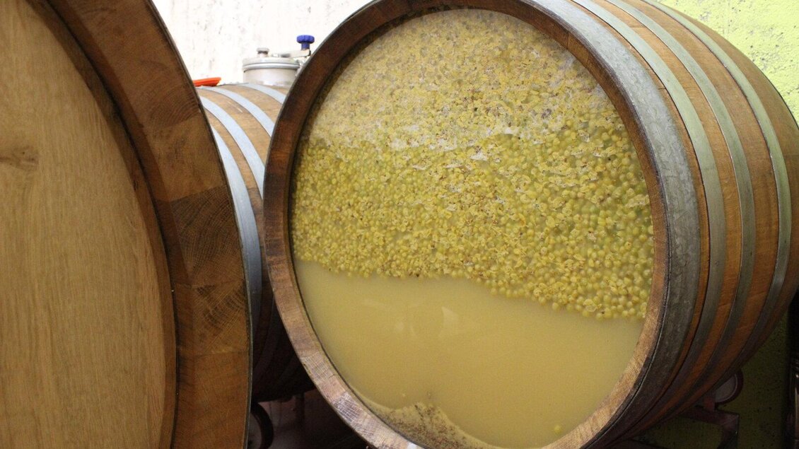 Organic wine from Ploder-Rosenberg - Impressionen #2.8