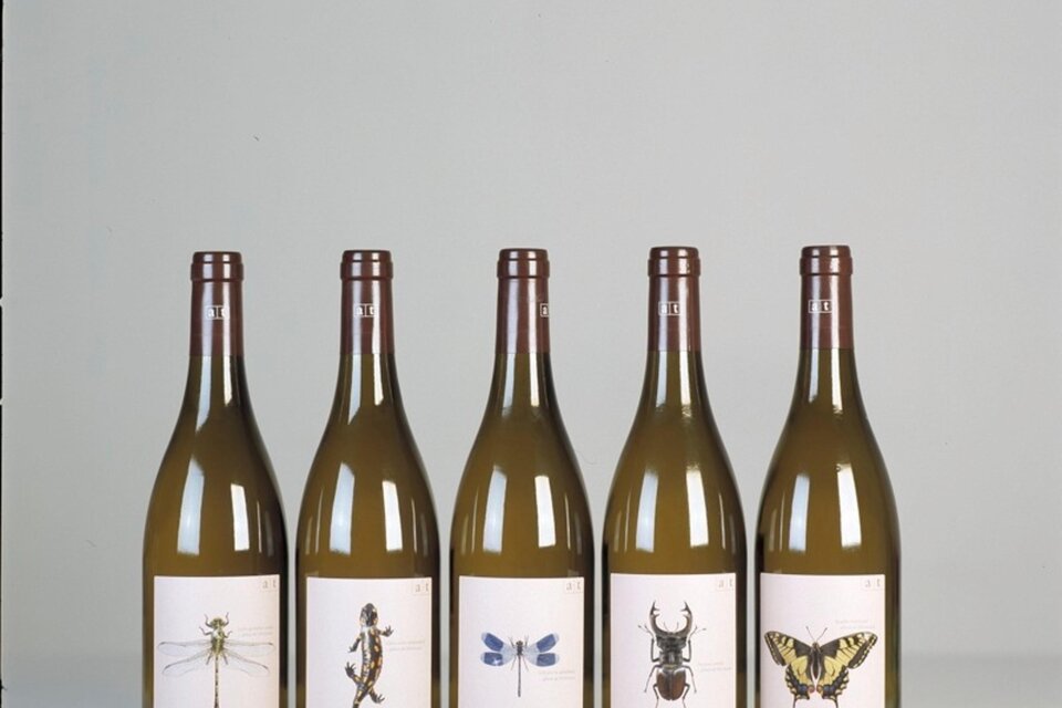 Bio-Weingut Tscheppe Andreas - Impression #1 | © Bio-Weingut Tscheppe Andreas | Andreas Tscheppe