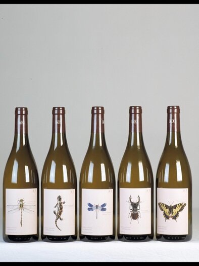 Bio-Weingut Tscheppe Andreas Flaschen | © Bio-Weingut Tscheppe Andreas | Andreas Tscheppe