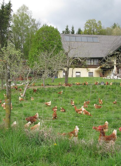 BiohofSteidl-Außenansicht1-Murtal-Steiermark | Familie Steidl | © Familie Steidl