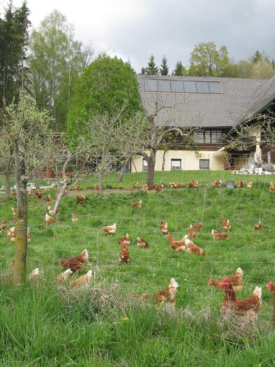 BiohofSteidl-Außenansicht1-Murtal-Steiermark | © Familie Steidl