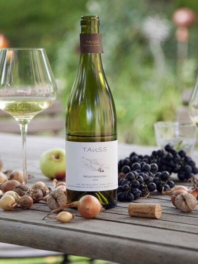 Biologisch-dynamisches Weingut Tauss | © Familie Tauss | Biologisch-dynamisches Weingut Tauss