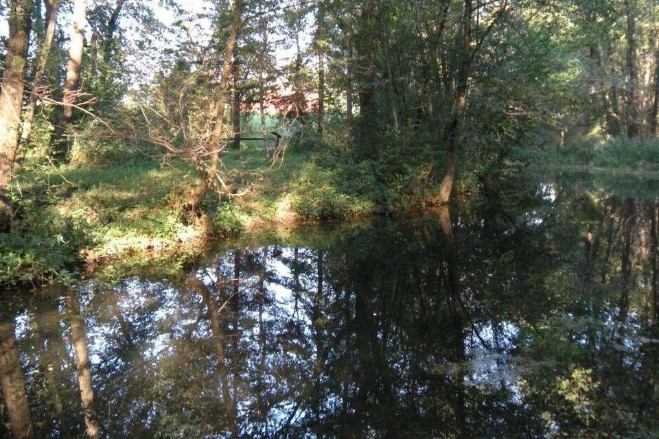 Biotop der Marktgemeinde Feldkirchen bei Graz - Impression #1 | © Marktgemeinde Feldkirchen bei Graz