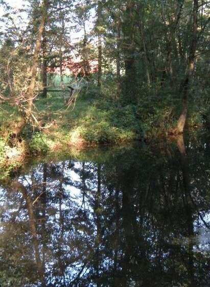 Biotop in Feldkirchen bei Graz | © Marktgemeinde Feldkirchen bei Graz