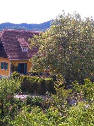 Bioweingut Menhard Thomas | © Eva Menhard | Bioweingut Menhard Thomas