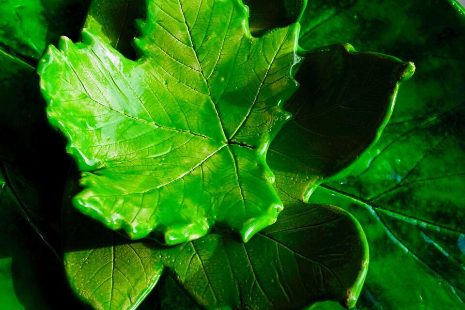 Blattwerk Manufaktur Stieböck - Impression #1 | © Blattwerk Manufaktur, Theresa Stieböck