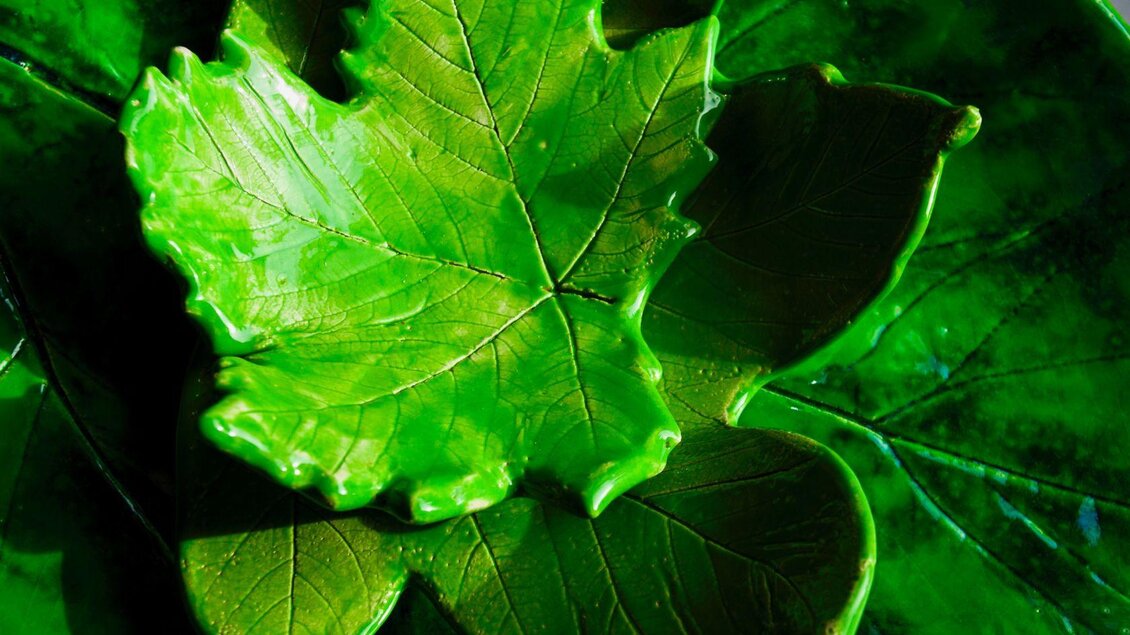 Ein grünes Blatt auf einer attraktiven Unterlage aus ähnlichen Blättern. Das Bild zeigt frische und lebendige Grüntöne. | © Blattwerk Manufaktur, Theresa Stieböck