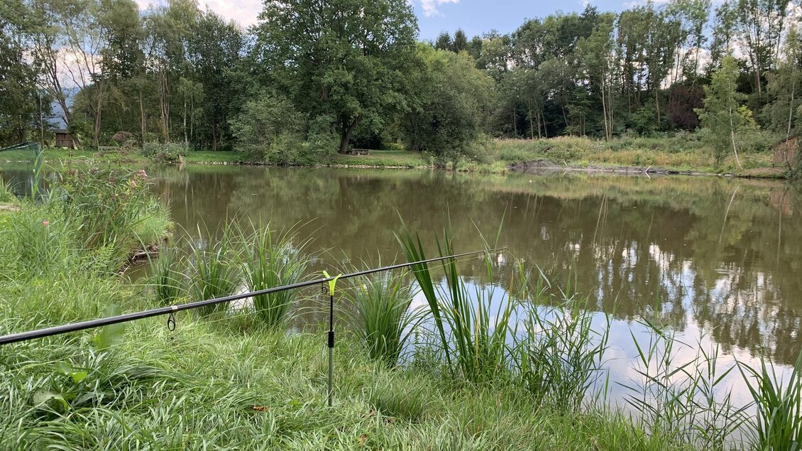 Ein ruhiger Teich umgeben von grünem Gras und Bäumen. Die Wolken spiegeln sich im Wasser. | © Anita Fössl