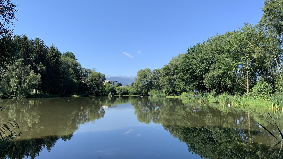 Ein ruhiger Teich mit klarem Wasser, umgeben von üppigem Grün und Bäumen. Der Himmel ist strahlend blau mit wenigen Wolken. | © Anita Fössl