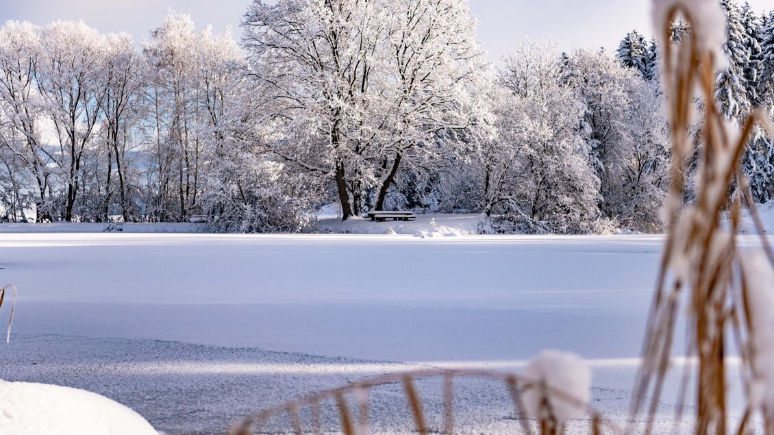 Blickne-Teich-Winter1-Murtal-Steiermark | © Anita Fössl