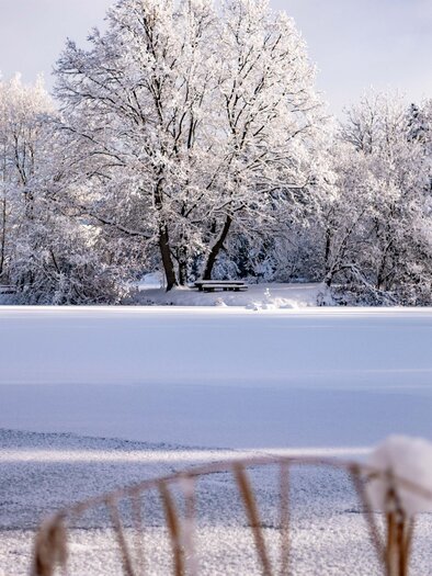 Blickne-Teich-Winter1-Murtal-Steiermark | © Anita Fössl
