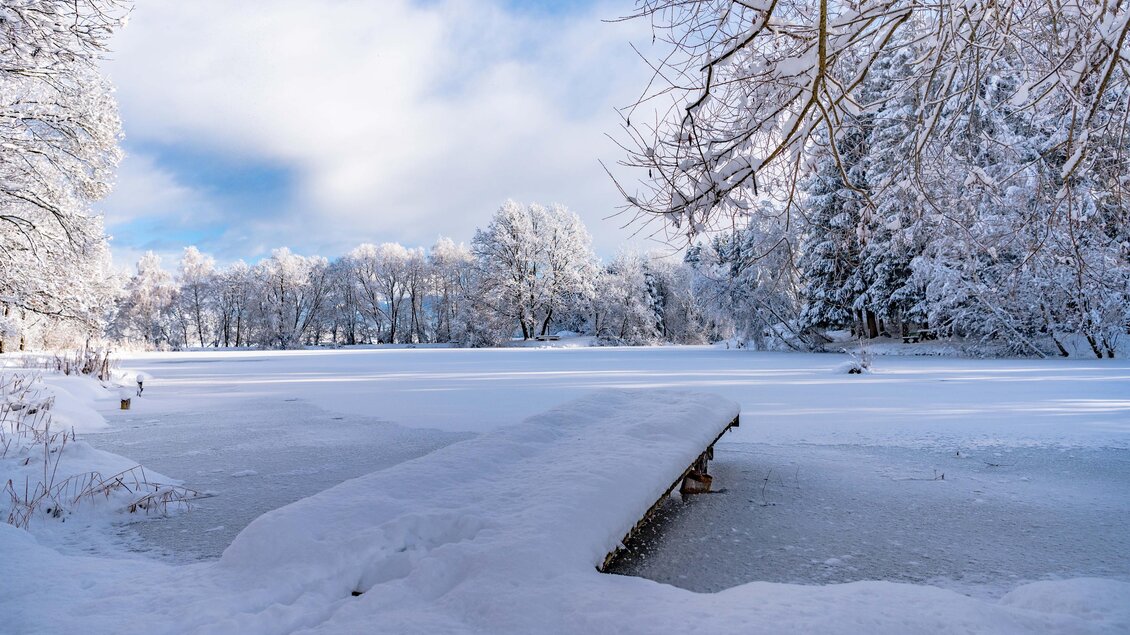 BlicknerTeich-Winter2-Murtal-Steiermark | © Anita Fössl