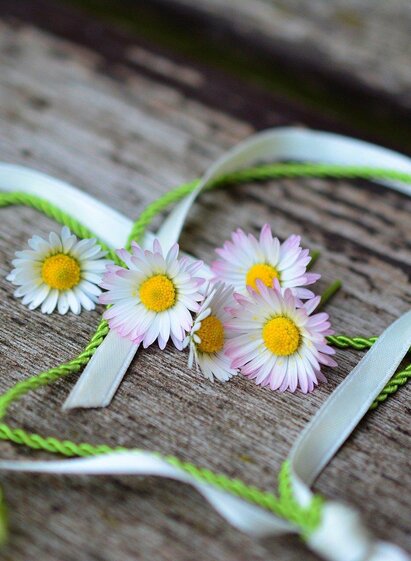 Symbolfoto | © Sympolfoto Pixabay