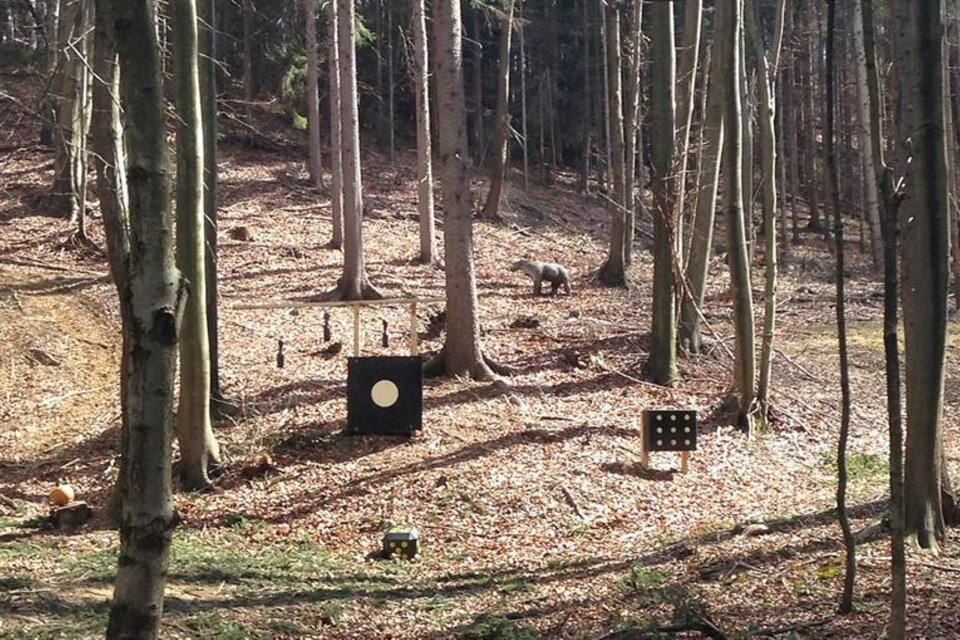 Bogenparcours Siebernegg - Impression #1 | © Bogenparcours Siebernegg