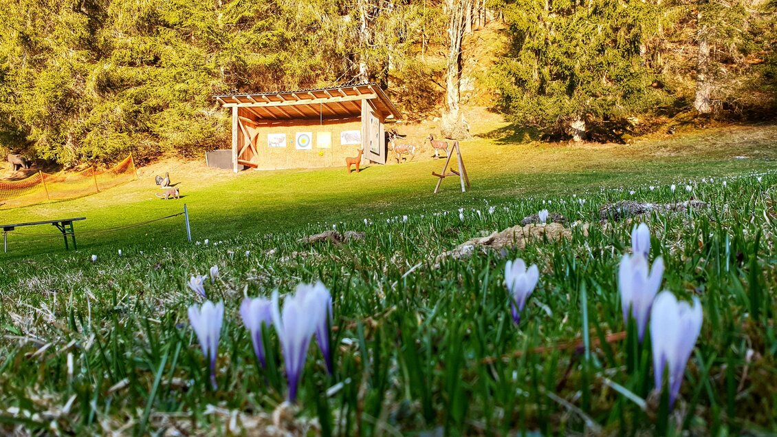 Einschussplatz | © Julia Perhab