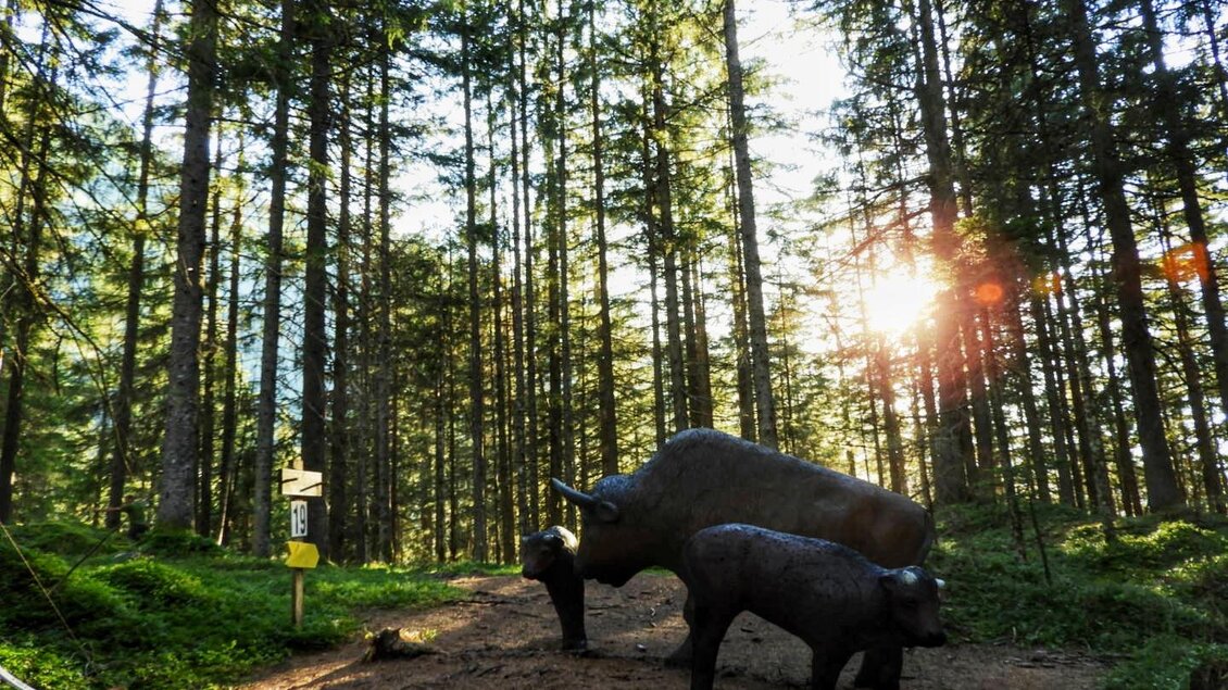 3D Tiere am Parcours | © Julia Perhab