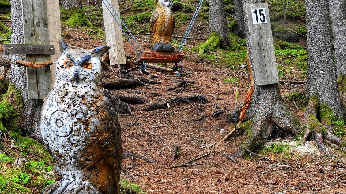 Eulen  | © Julia Perhab