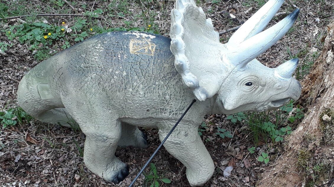 Eine Plastikfigur eines Triceratops in einem Waldgebiet. Die Figur sitzt auf dem Boden zwischen Pflanzen und Bäumen. | © Bogenschützen Obervoitsberg-Artner