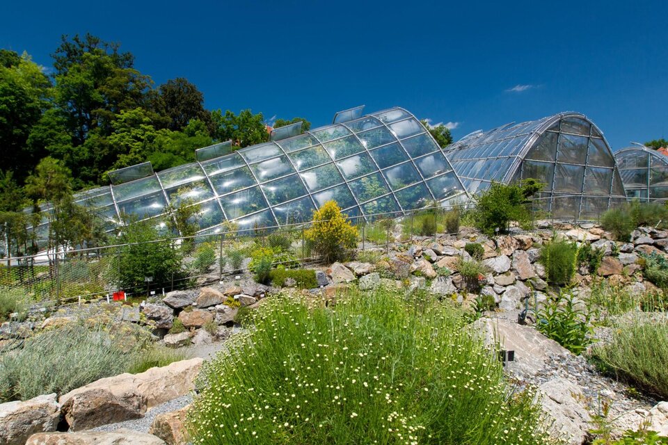 Botanischer Garten - Impression #1 | © Graz Tourismus-Harry Schiffer