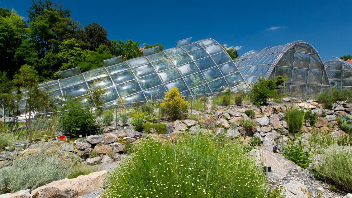 Die modernen Glashäuser im Botanischen Garten Graz sind umgeben von bunten Pflanzen und Felsen. | © Graz Tourismus-Harry Schiffer