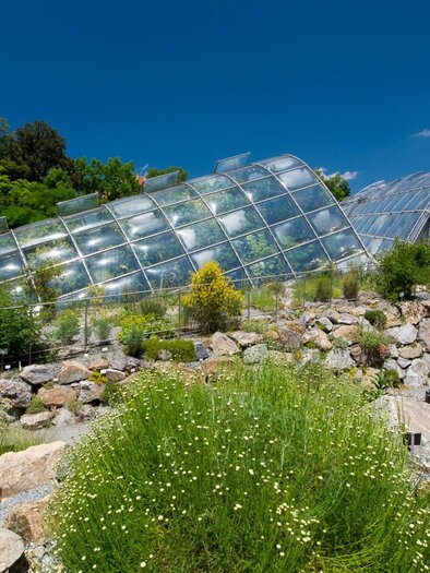 Die modernen Glashäuser im Botanischen Garten Graz sind umgeben von bunten Pflanzen und Felsen. | © Graz Tourismus-Harry Schiffer