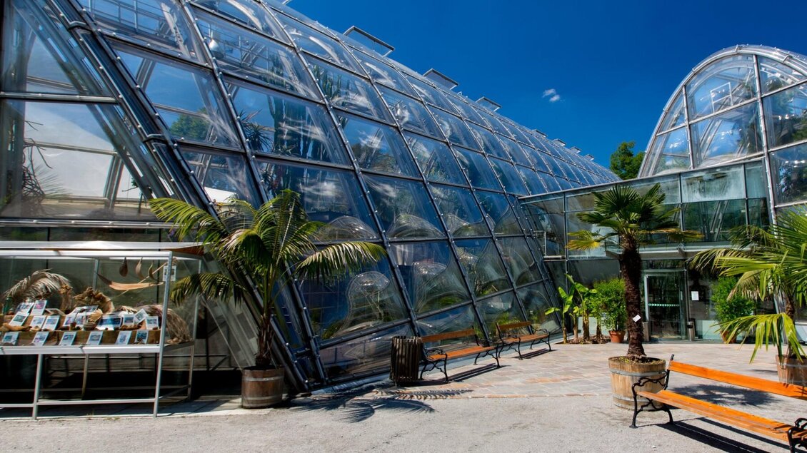 Die modernen Glashäuser im Botanischen Garten Graz mit Palmen und Sitzbänken im Vordergrund. | © Graz Tourismus-Harry Schiffer