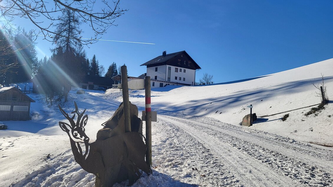 Bründl trail - Impressionen #2.12