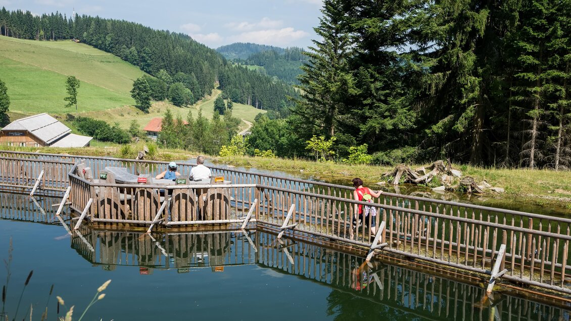 Bründl trail - Impressionen #2.1