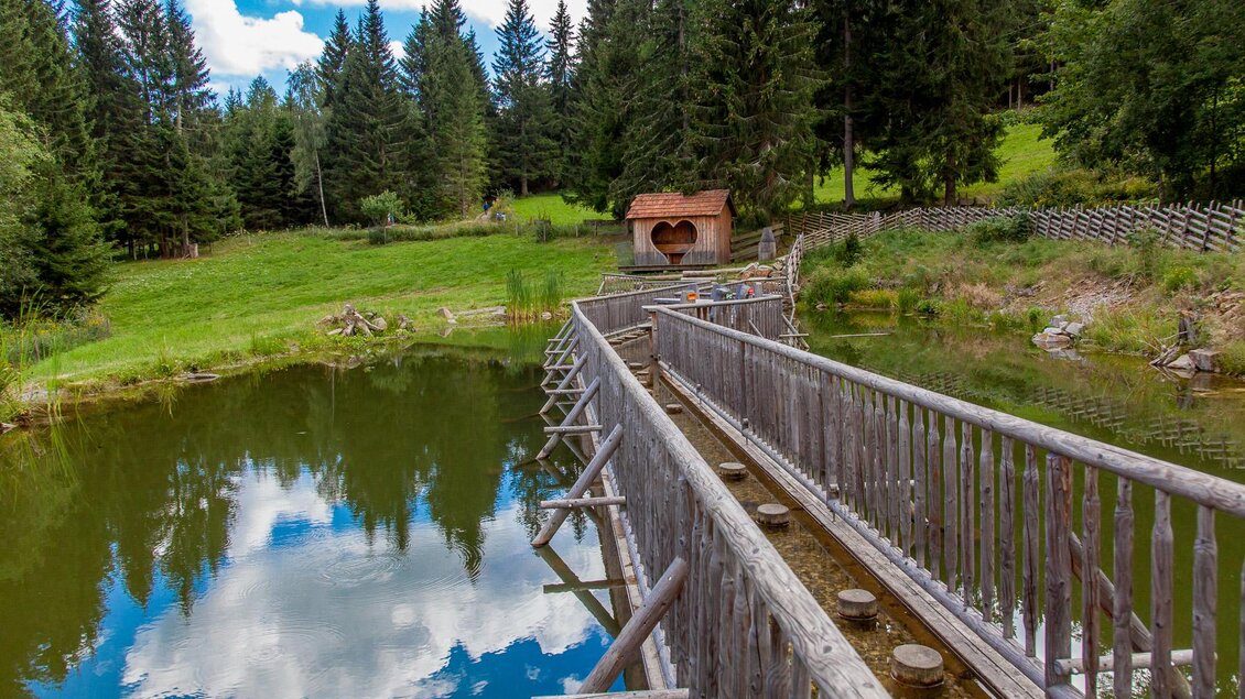 Bründl trail - Impressionen #2.4