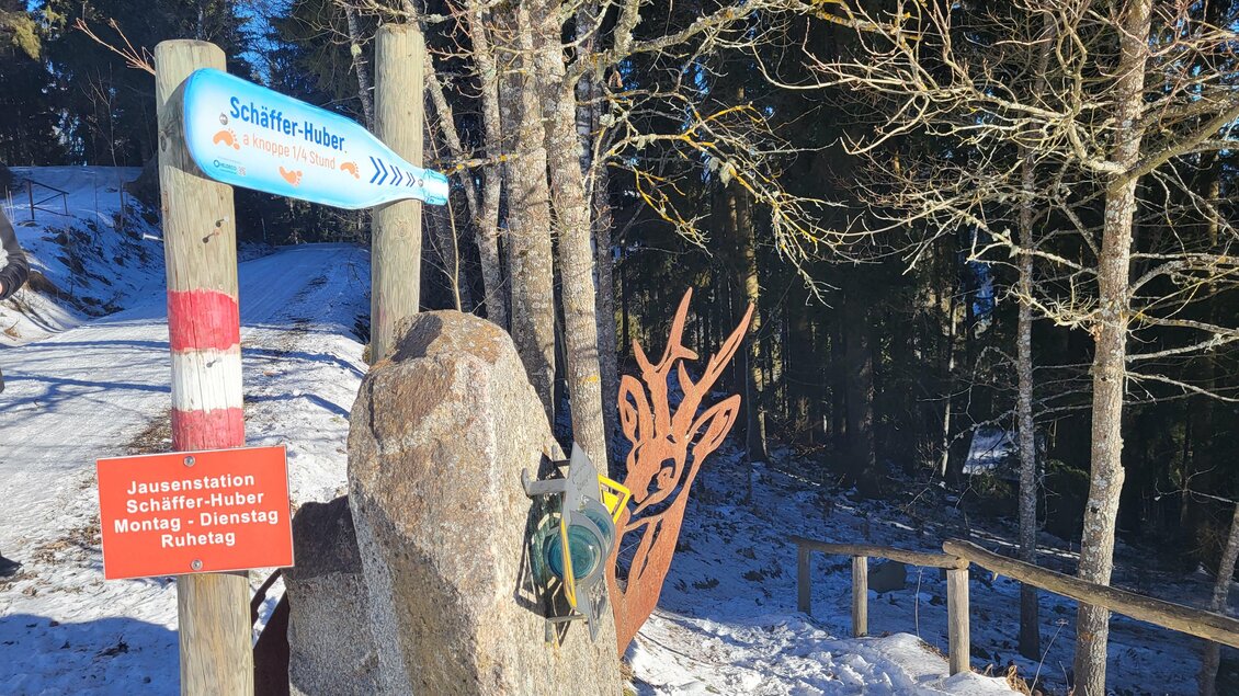 Bründl trail - Impressionen #2.8