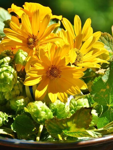 Hopfen_Blumenarrangement_Oststeiermark | © Pixabay