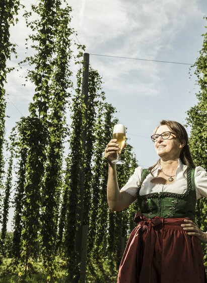 Brewery Toni Bräu_Hop Plantation_Eastern Styria | Bernhard Bergmann | © Tourismusverband Oststeiermark