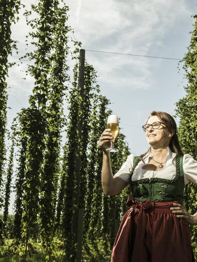 Brewery Toni Bräu_Hop Plantation_Eastern Styria | © Tourismusverband Oststeiermark