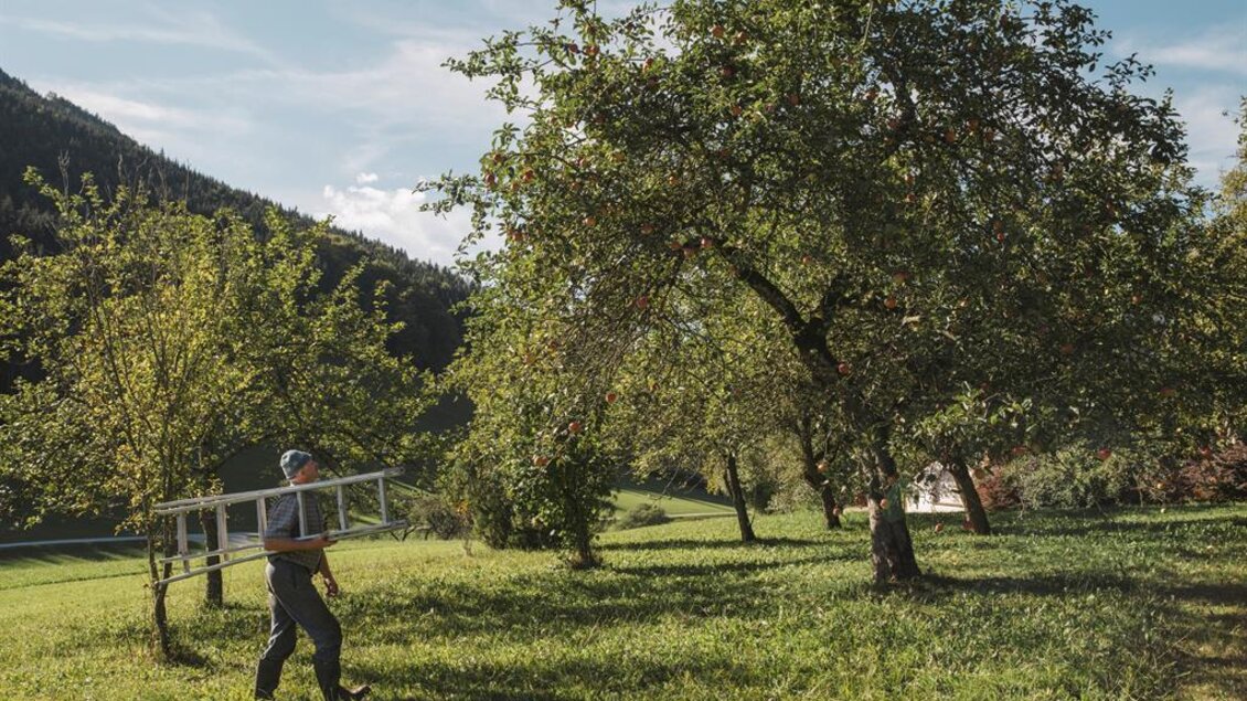 Vom Obst zum Schnaps