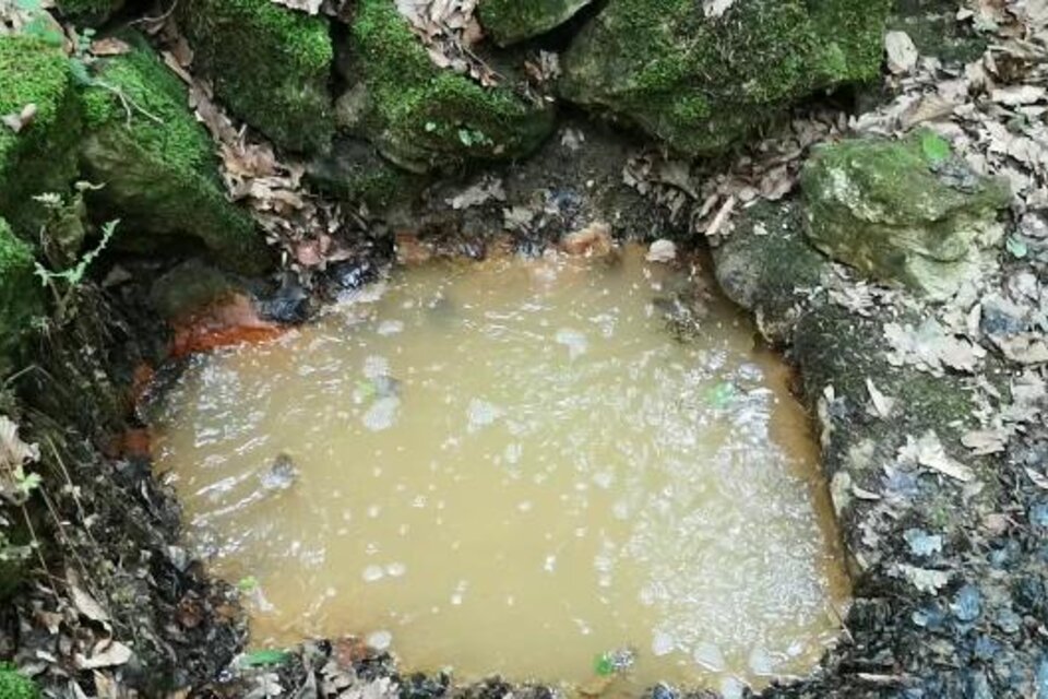 Brodlsulz Klapping – Austria's only mofette - Impression #1 | © Andrea Pock