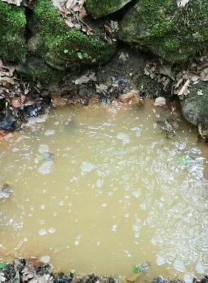 Brodlsulz | Andrea Pock | © Andrea Pock