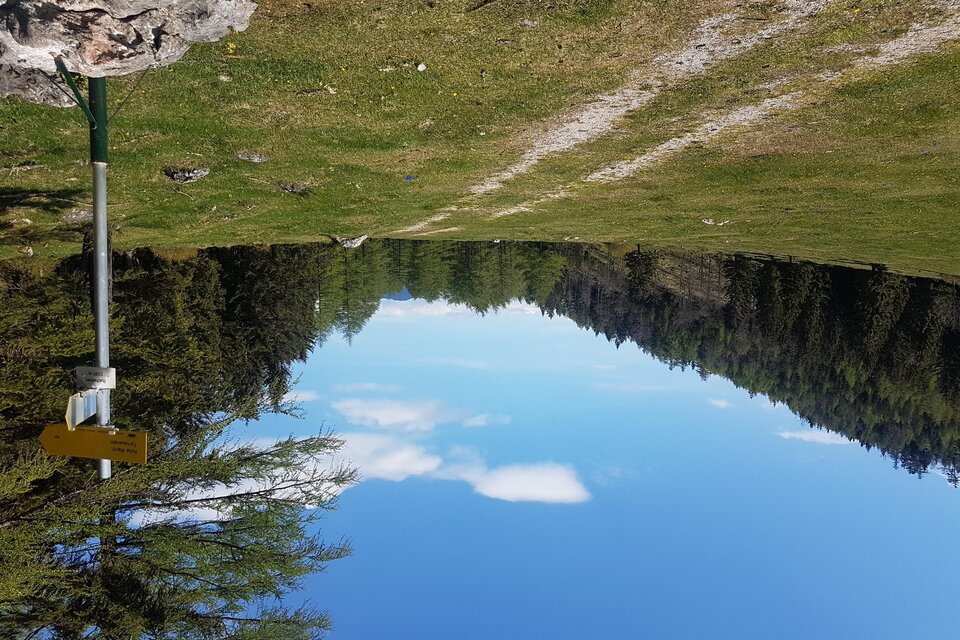 Bucheben - Impression #1 | © Oststeiermark Tourismus