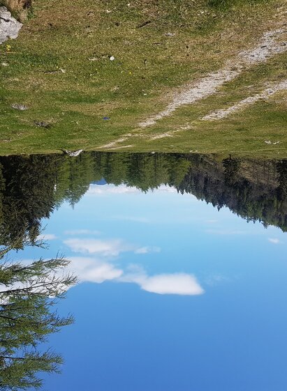 Bucheben_Wegweiser_Almenland | Michaela Hirtler | © Oststeiermark Tourismus