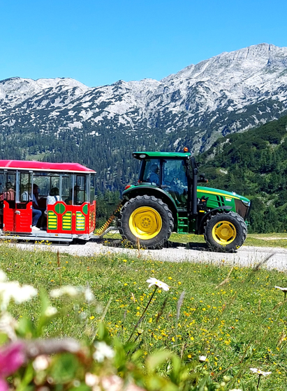 Slow train ride on the Hollhaus slow train | Berggasthof Hollhaus | © Berggasthof Hollhaus