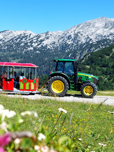 Bummelzugfahrt mit dem Hollhaus Bummelzug | © Berggasthof Hollhaus