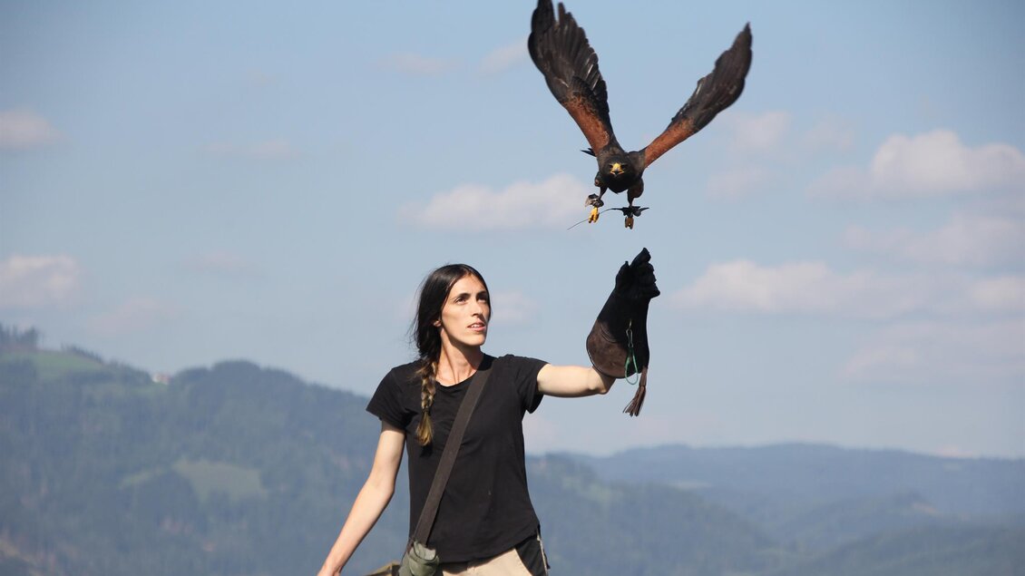 Eine Frau steht draußen und hält einen Falken auf ihrem Handgelenk. Im Hintergrund sind grüne Hügel und ein blauer Himmel zu sehen.