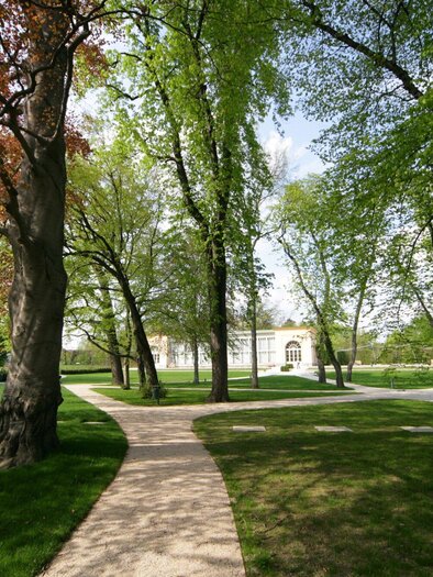 Gepflegter Kiesweg führt durch grüne Baumallee im Burggarten Graz | © Graz Tourismus-Harry Schiffer