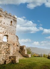 Burgruine Hohenwang Langenwang | © TV Mariazeller Land | nicoleseiser.at | © TV Hochsteiermark